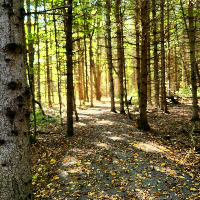 Wetter Photos Welt. Wettervorhersagen mit schönen Fotos von KevinG