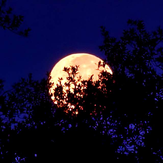 Прогнозы погоды с чудесными фотографиями, сделанными Mklady75