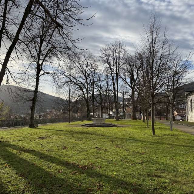 Photos Arbre. Prévisions météo avec de superbes photos de SwissEloi de Delémont