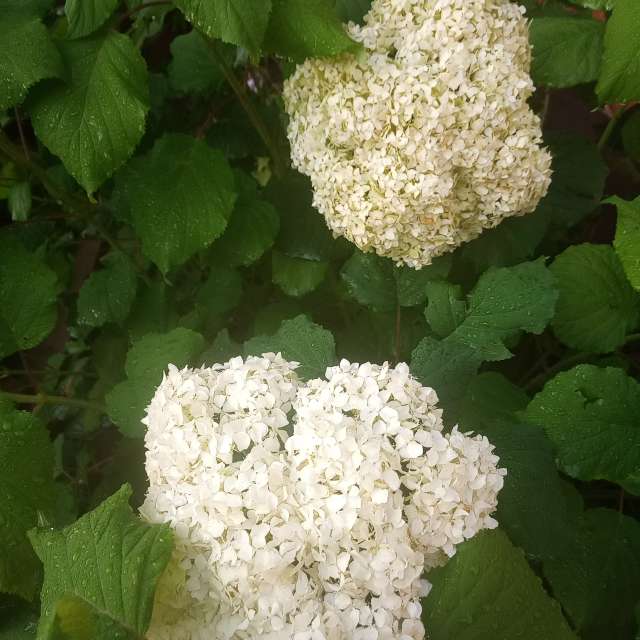 Wettervorhersagen mit schönen Fotos von Evgeniya77