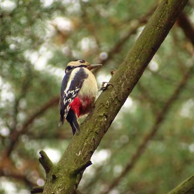 Field. Weather forecasts with beautiful photos by Михаил Гавриков Photos in Kharkiv