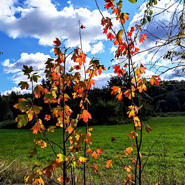 Dự báo thời tiết với những bức ảnh đẹp của Wiesiek