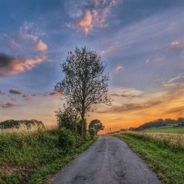 Prévisions météo avec de superbes photos de Lotti5507