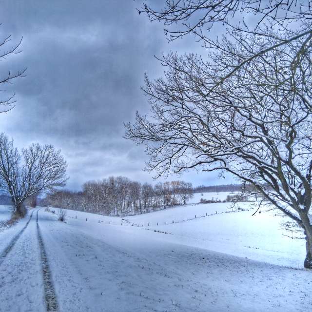 Germany. Weather forecasts with beautiful photos by Wanderstiefel Photos in World