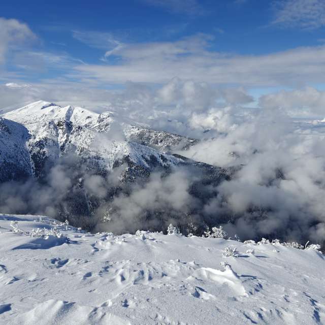 天气预报，带Rosiii精美的照片