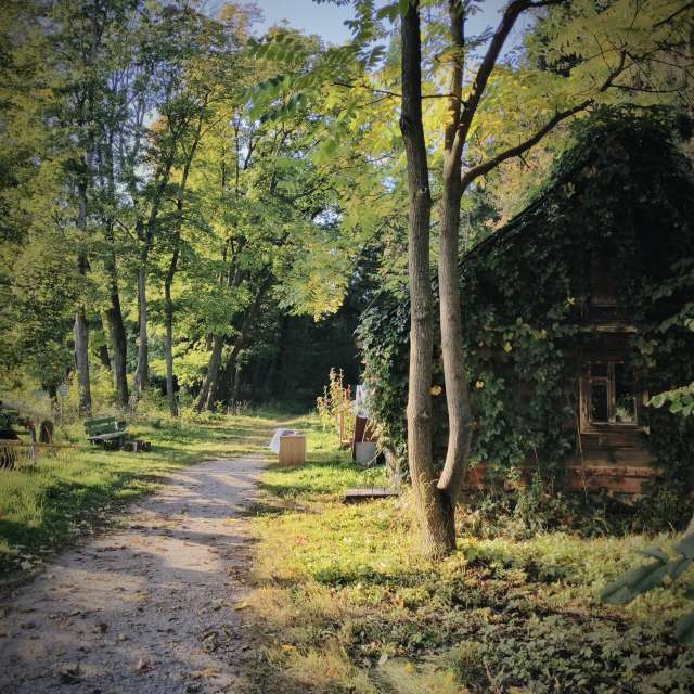 Giraffe. Weather forecasts with beautiful photos by Aleksei Photos in Tula