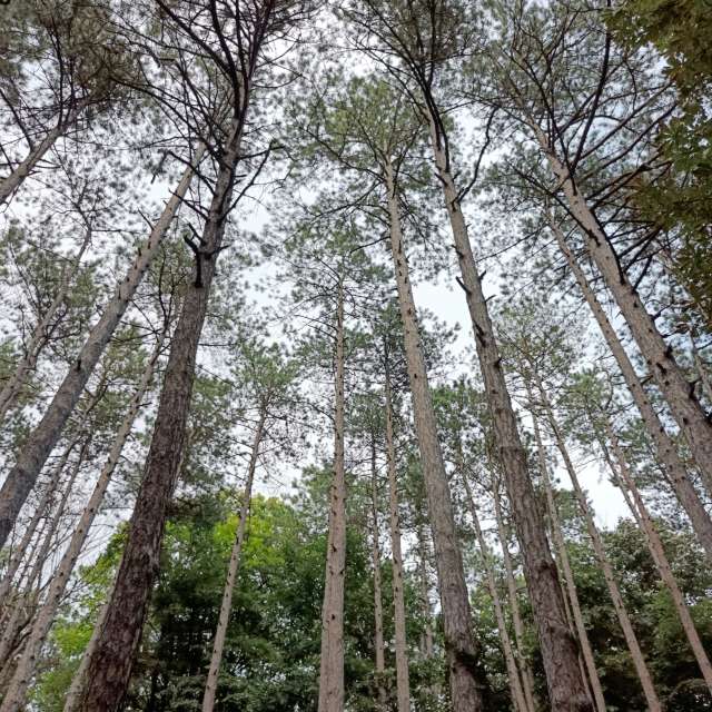 天气预报，带Doc_H精美的照片