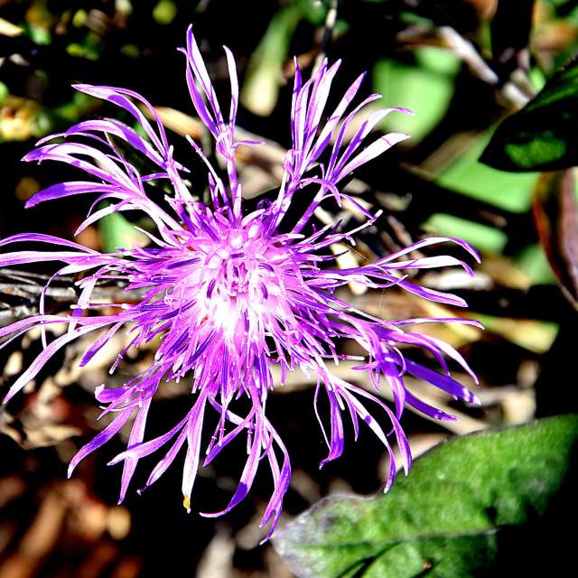 Прогнозы погоды с чудесными фотографиями, сделанными ConstantinR