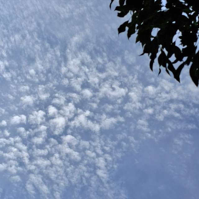 Fotos Montanha. Previsões do tempo com lindas fotos de Wen-ya Huang em Kaohsiung City