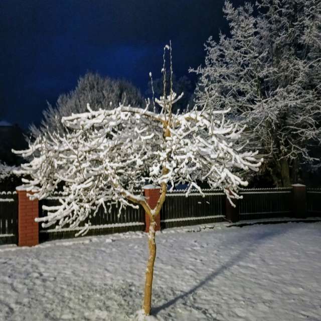 Planke. Wettervorhersagen mit schönen Fotos von Kripo Fotos Ladek Zdroj