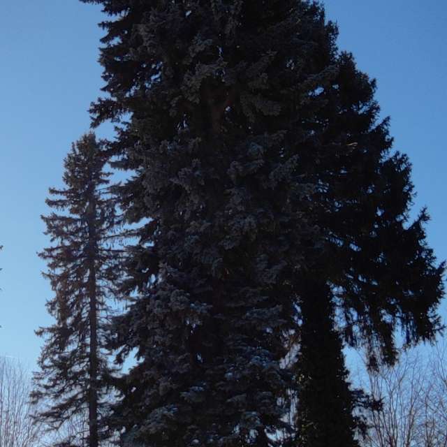 Seite. Wettervorhersagen mit schönen Fotos von Kripo Fotos Ladek Zdroj
