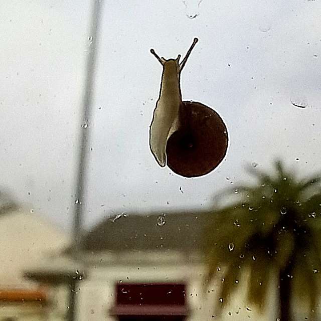 Weather forecasts with beautiful photos by MOR