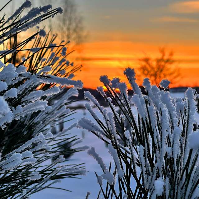 AlmaGenute53の美しい写真による天気予報