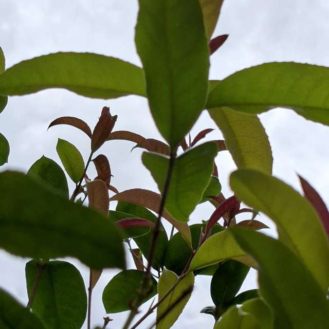 Innen. Wettervorhersagen mit schönen Fotos von Wen-ya Huang Fotos Kaohsiung