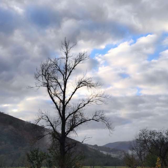 Grassy. Weather forecasts with beautiful photos by Minussi Photos in World