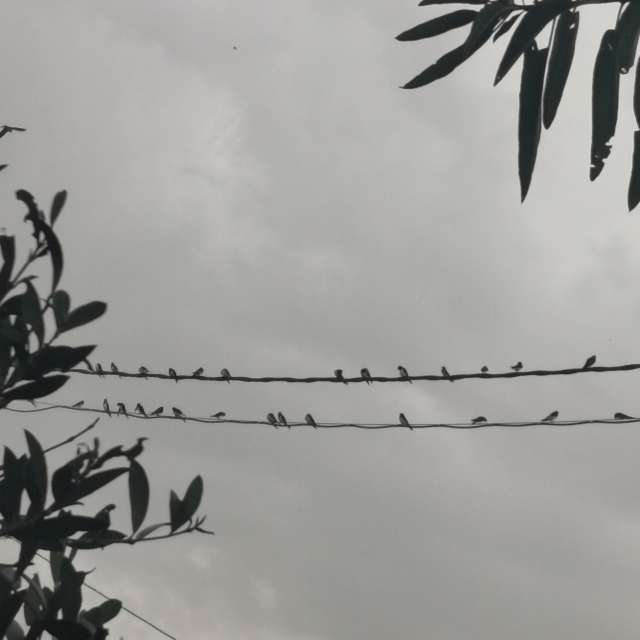 Weather forecasts with beautiful photos by CalligraphyELA