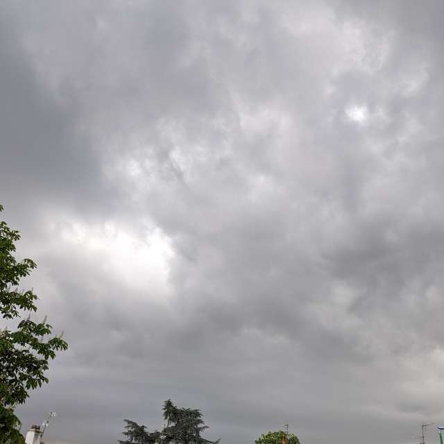 Foto di Albero. Previsioni del tempo con incredibili foto di Roytinez31 a Cugnaux