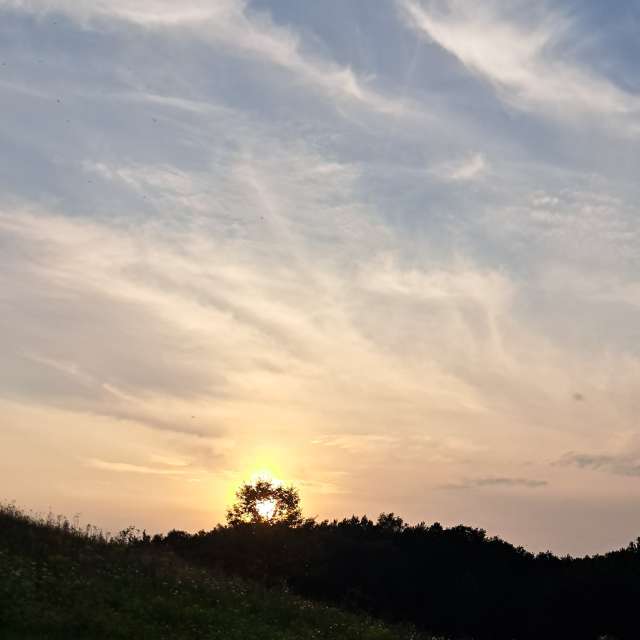 天气预报，带Sviatoslav精美的照片