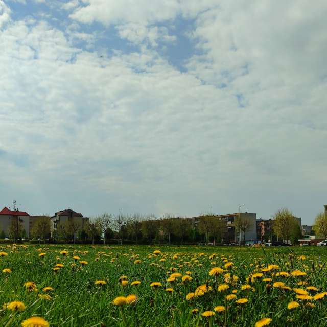 Fotos del Herboso. Pronósticos del tiempo con hermosas fotos de Romek58 en Wieluń