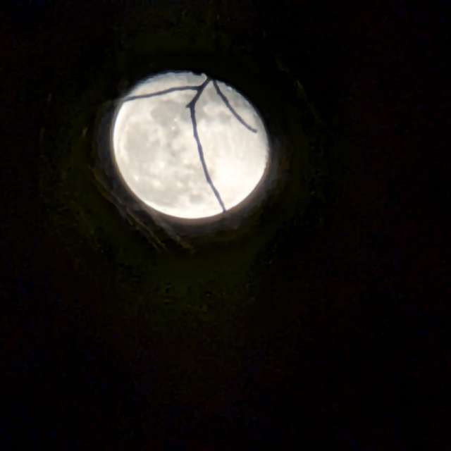 Previsões do tempo com lindas fotos de Roytinez31