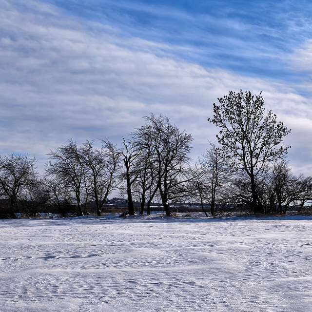 George Popoの美しい写真による天気予報