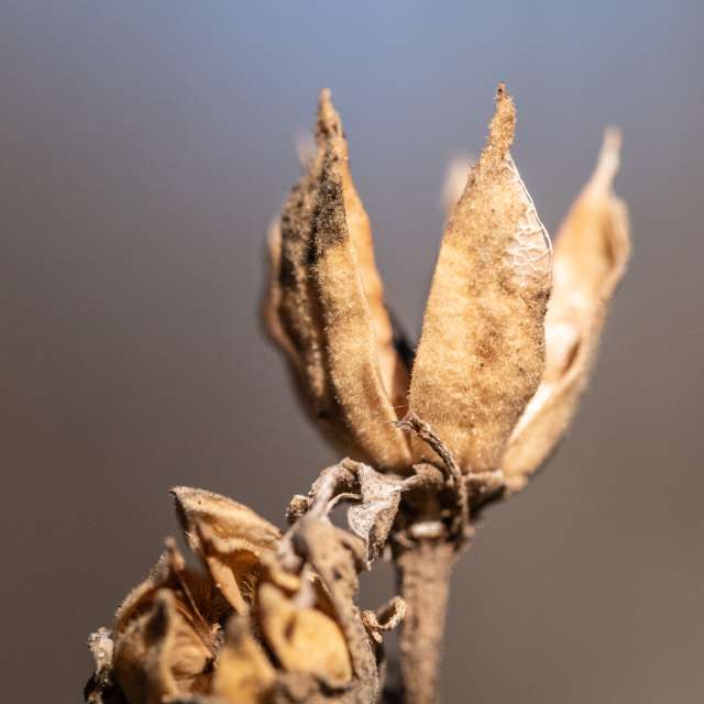 Прогнозы погоды с чудесными фотографиями, сделанными krantzjh