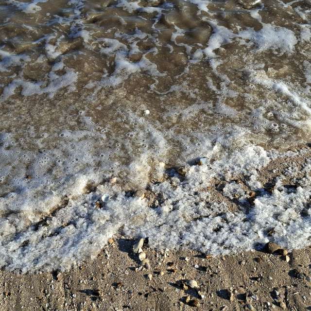 Previsões do tempo com lindas fotos de Lolli