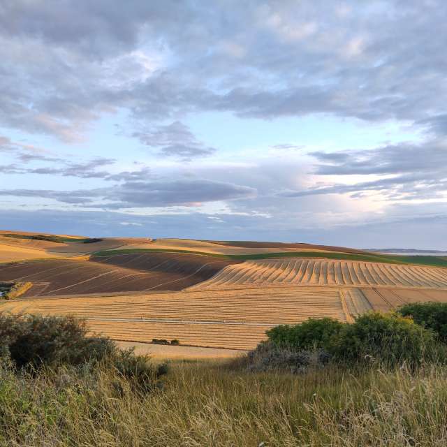 Prévisions météo avec de superbes photos de Rosaja