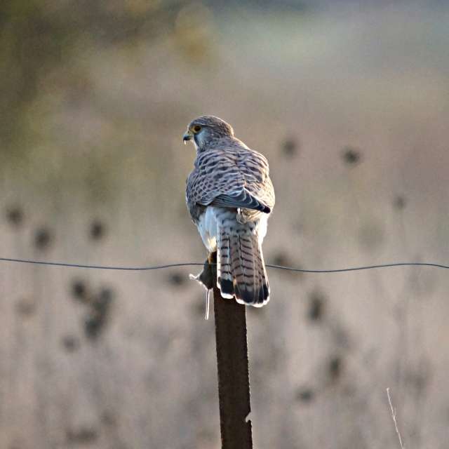 Weather forecasts with beautiful photos by tony5636