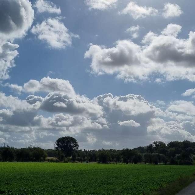 Niagaraの美しい写真による天気予報