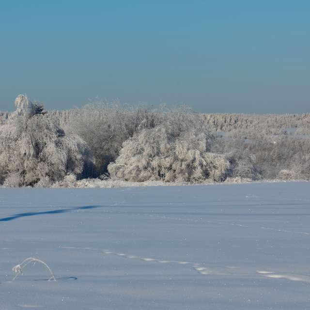 Прогнозы погоды с чудесными фотографиями, сделанными Aleh_Narushevich