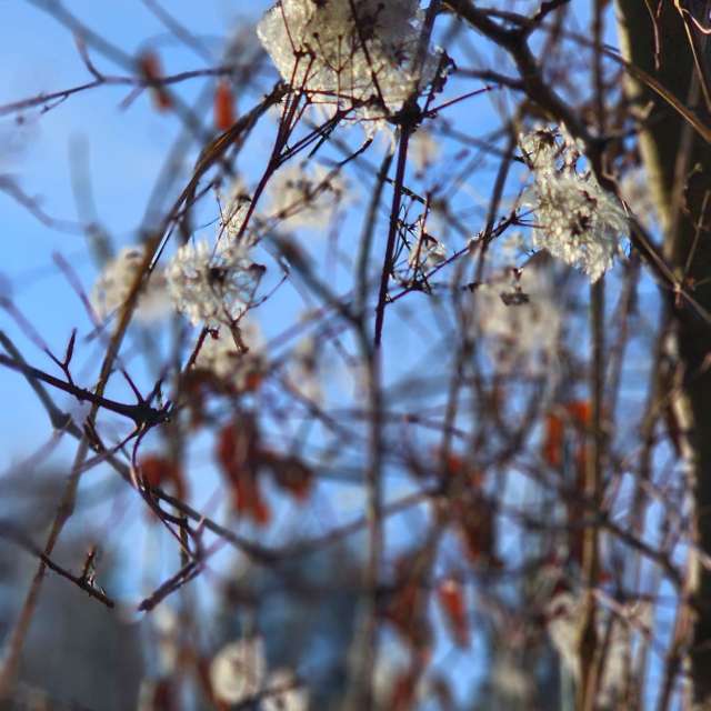 Wire. Weather forecasts with beautiful photos by Seni Photos in Velbert