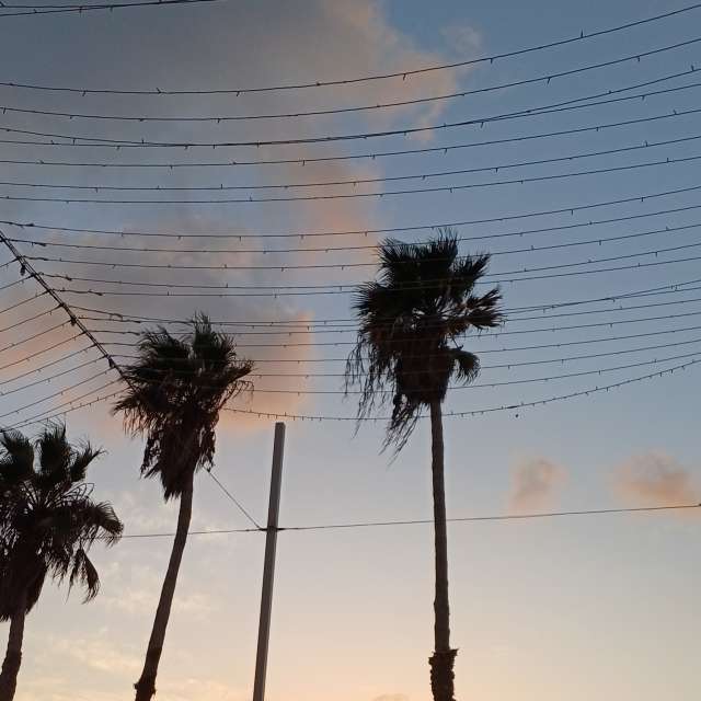 天气预报，带Zaza精美的照片