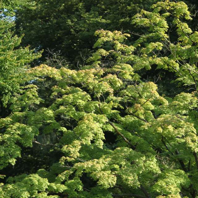 Fotos del Colina. Pronósticos del tiempo con hermosas fotos de Pawel Waligorski en Cracovia