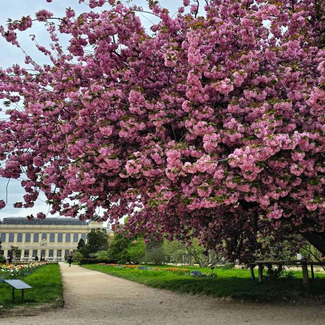 13 Boulevard de l'Hôpital的Weather. 天气预报，带Woosung精美的照片照片