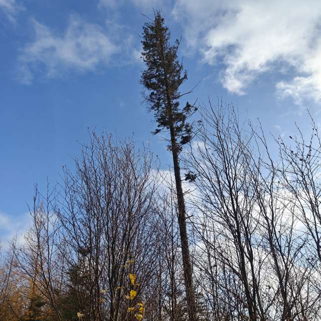 Weather forecasts with beautiful photos by zjabri