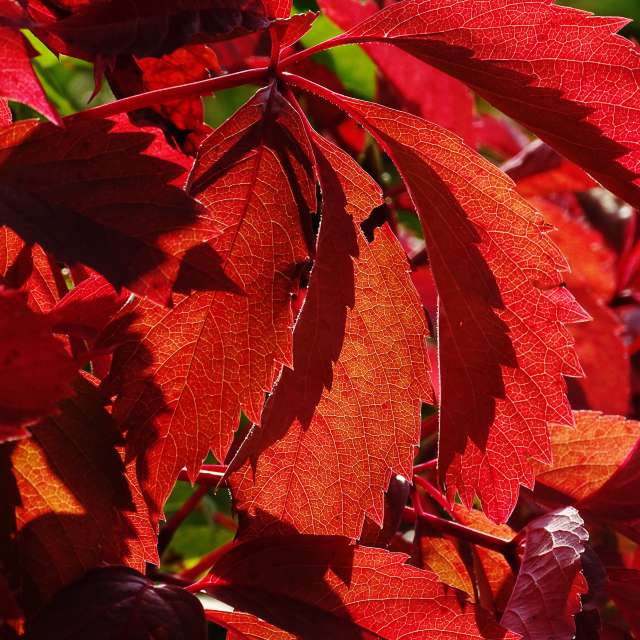 Sitting. Weather forecasts with beautiful photos by Михаил Гавриков Photos in Kharkiv