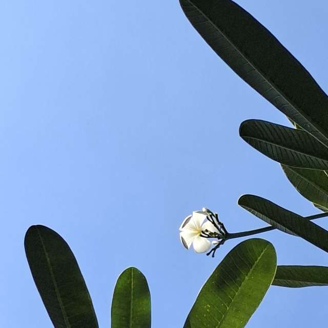 Wettervorhersagen mit schönen Fotos von Wen-ya Huang