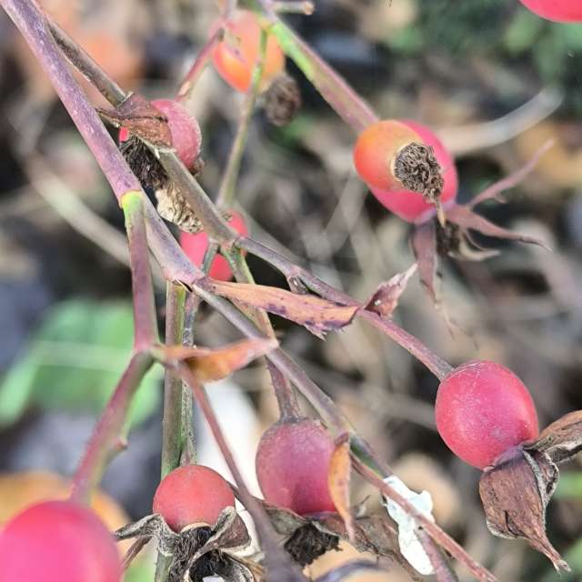 Dự báo thời tiết với những bức ảnh đẹp của Claudsch