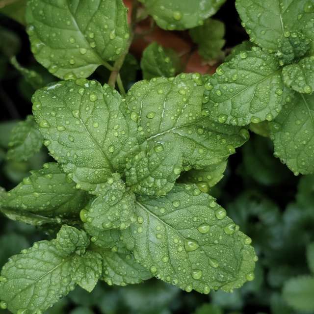 IvanaBの美しい写真による天気予報