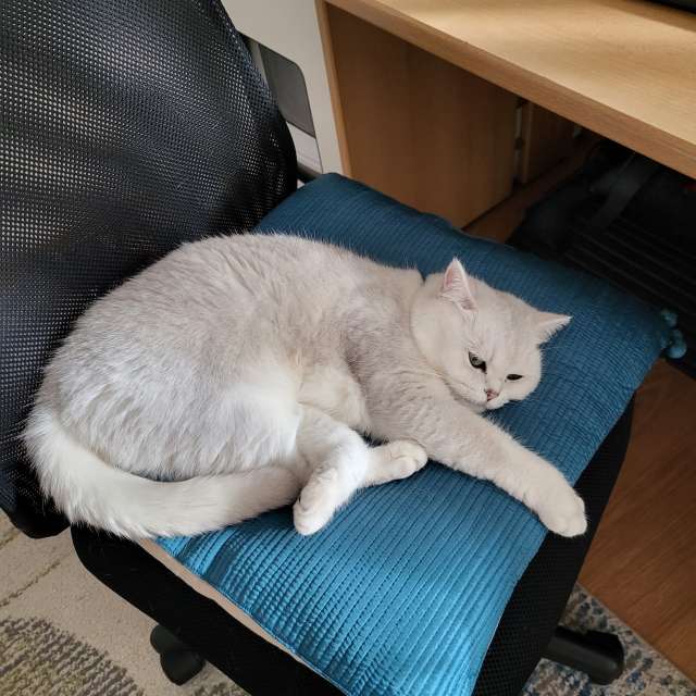 Weather forecasts with beautiful photos by aida-khaldi