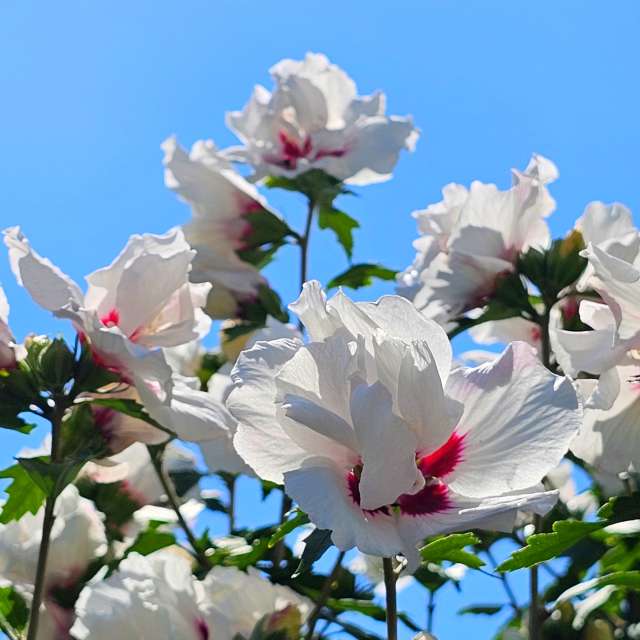 Clear. Weather forecasts with beautiful photos by Seni Photos in Velbert