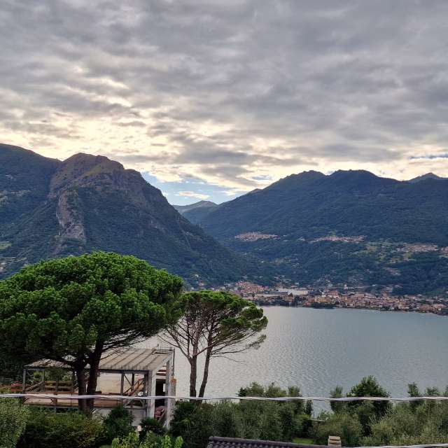 天气预报，带loris-b精美的照片