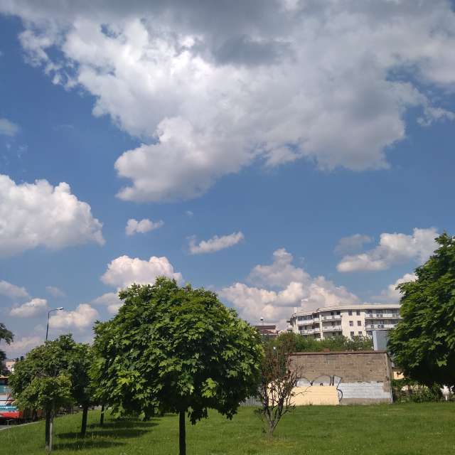 Fotos del Grassy. Pronósticos del tiempo con hermosas fotos de Danka en Piaski