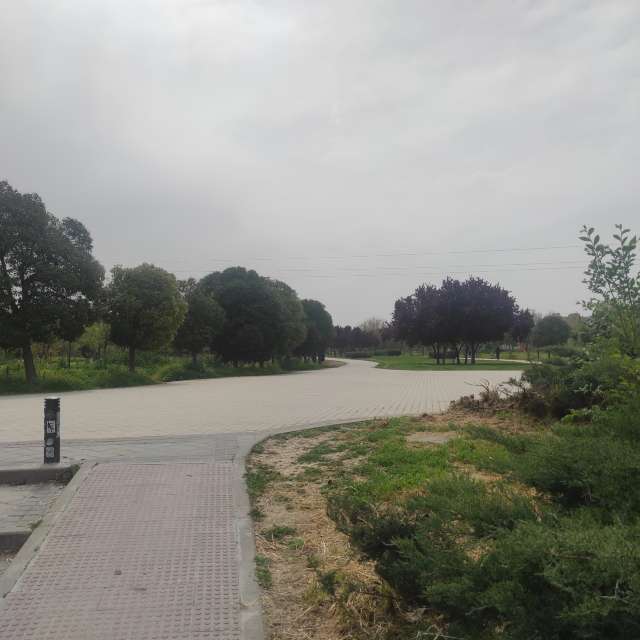 Green. Weather forecasts with beautiful photos by Ylla Ylla Ylla Photos in Madrid