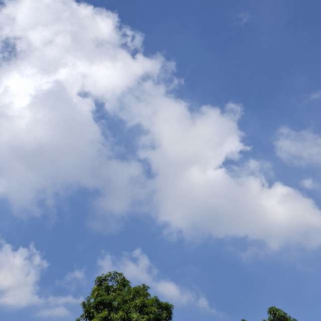 Prévisions météo avec de superbes photos de Wen-ya Huang