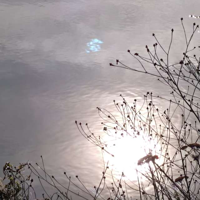 duck102の美しい写真による天気予報