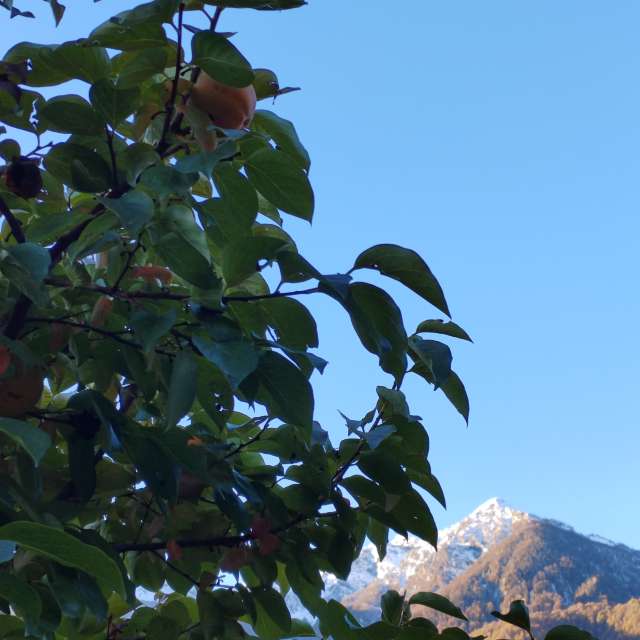 Gruppe. Wettervorhersagen mit schönen Fotos von Albert_Smelovtsev Fotos Roza Khutor