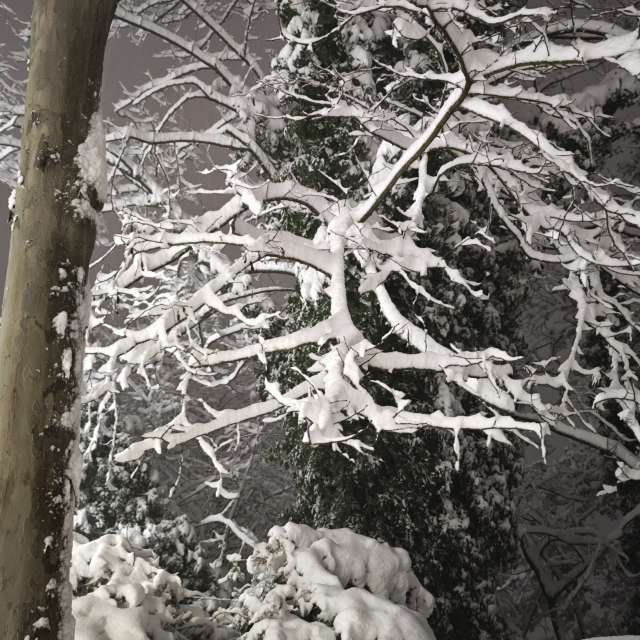 Pronósticos del tiempo con hermosas fotos de Fabri