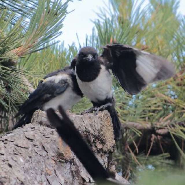 Прогнозы погоды с чудесными фотографиями, сделанными Ninette